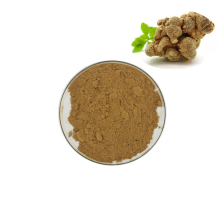 High Quality Factory Supply Whole san qi Herbs Notoginseng Root Extract Powder
